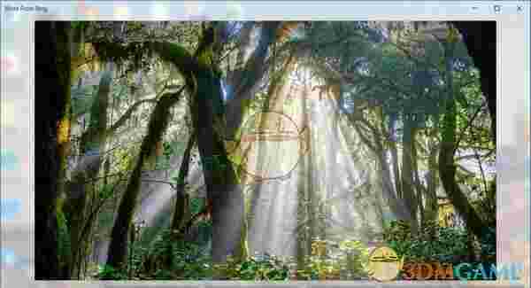 Windows Spotlight Tools(Win聚焦工具)v1.7.1