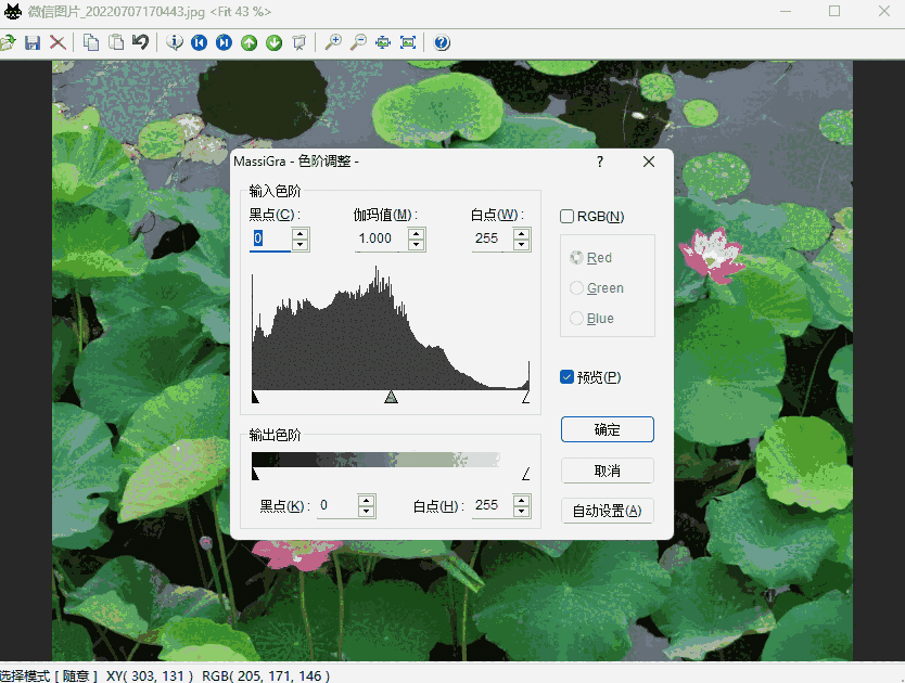 MassiGra32位0.4.1.0