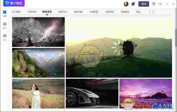 柚子壁纸电脑版