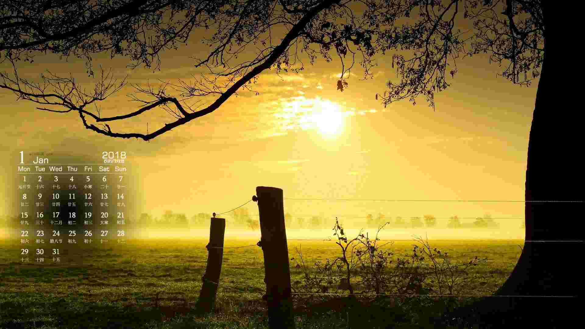 《优美壁纸》官方版