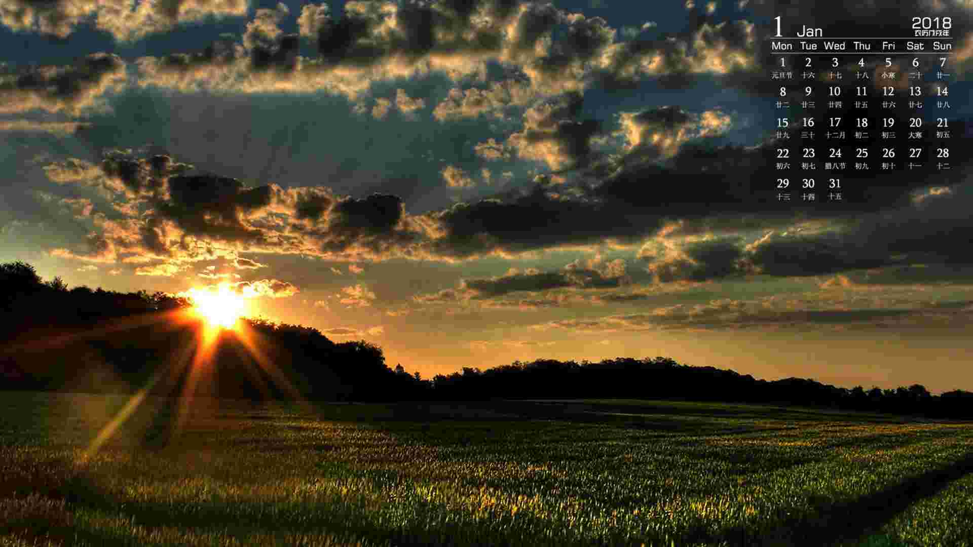 《优美壁纸》官方版