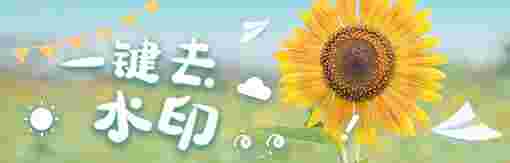 《风云水印管家》最新版