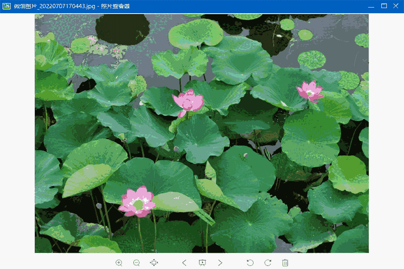 照片查看器64位1.0.19