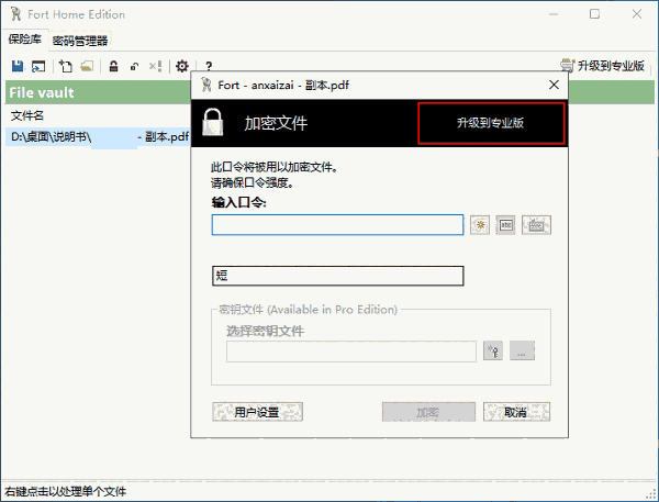 Fort Professional Edition