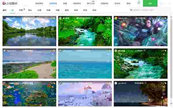 小鸟壁纸3.1123.2125.906