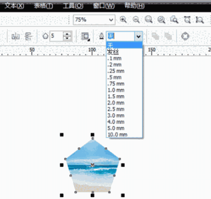 CorelDRAW Graphics Suite24.0.0.13