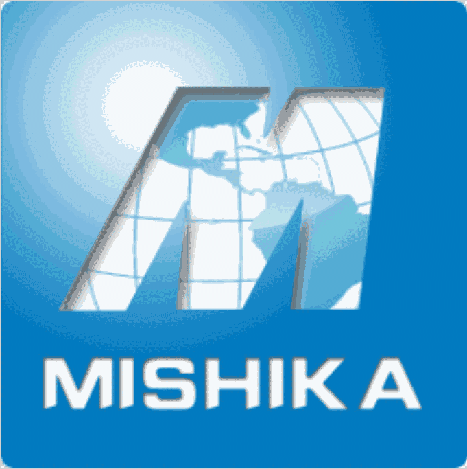 米什卡专业俄语辞典