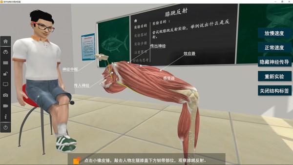 《矩道初中生物VR3D虚拟仿真实验室》