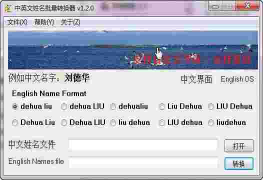 《中英文姓名批量转换器》最新版