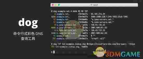 dog(命令行式彩色DNS查询工具)v0.1.0