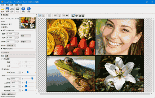 PhotoZoom Classic64位8.2.0.0