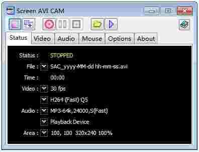 《Screen AVI CAM》