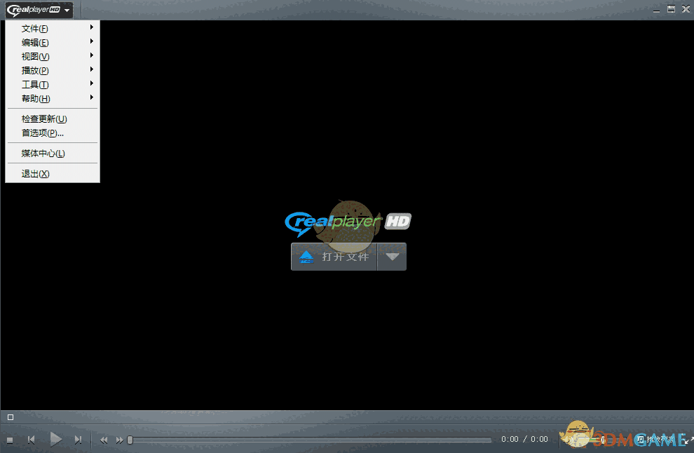 RealPlayerv20.0.7.307