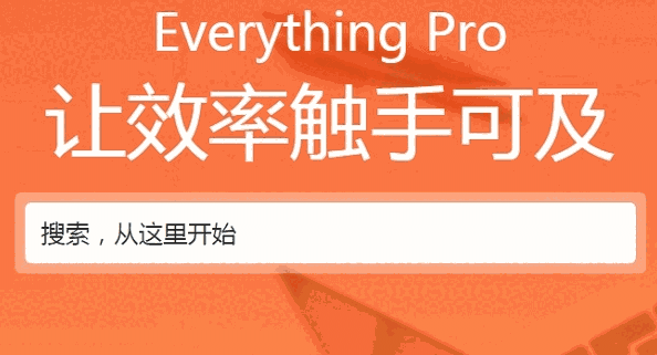 Everything Pro2.0.1