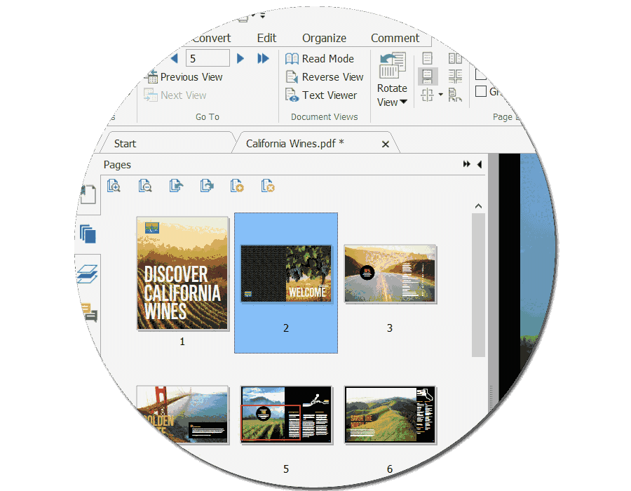 福昕PDF编辑器专业版12.1.3.15356（Full_Bundle）