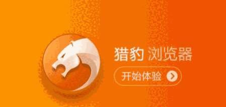 猎豹浏览器v8.0.0.22037