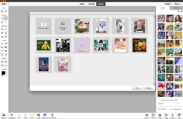 Adobe Photoshop Elements 2025Mac版