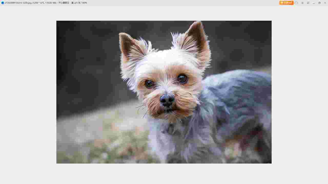 HappyPicture1.0.7x32