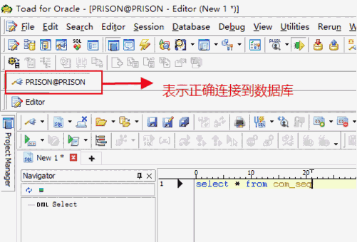 toad for oracle中文版v13.3.0.181