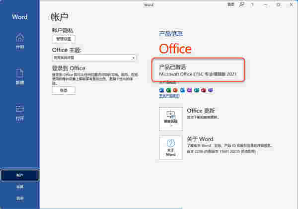 Microsoft Office2021专业增强版
