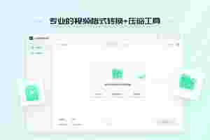 轻映视频转换器最新版