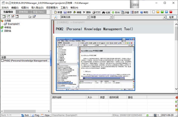 P.K.Manager最新版