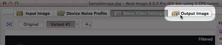 Neat Image64官方版v8.5.2 	
