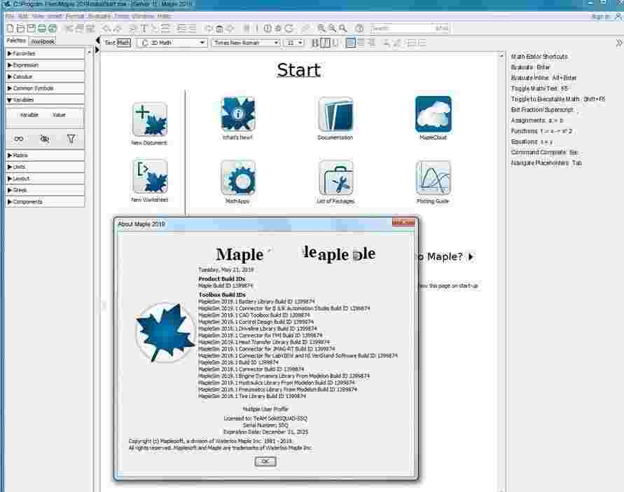 MapleSoft Maplesimv2019