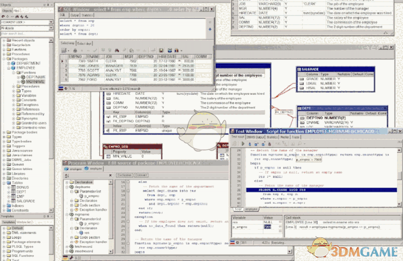 PL/SQL Developer 8.0