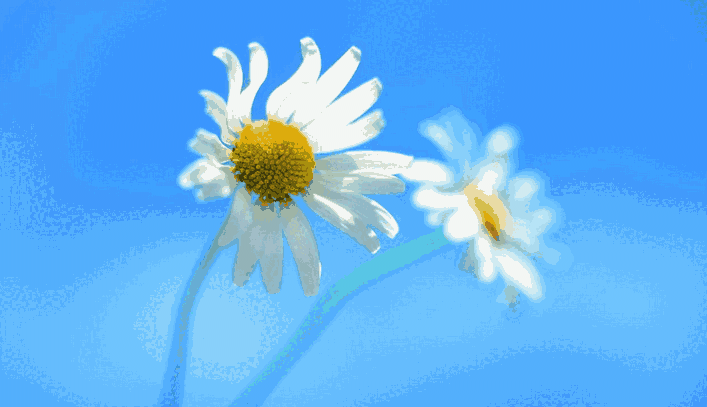 《蓝色心情win7主题一键安装包》最新版