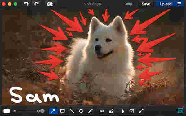 屏幕截图编辑器电脑版