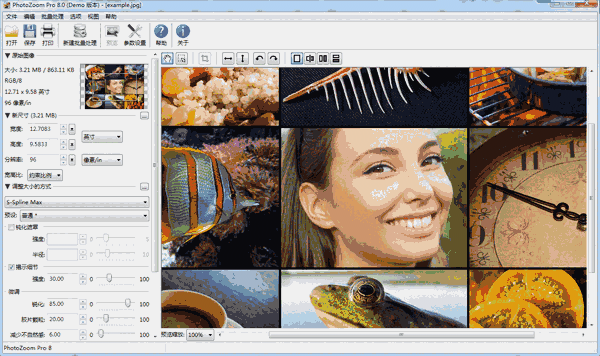 PhotoZoom Pro32位8.2.0.0