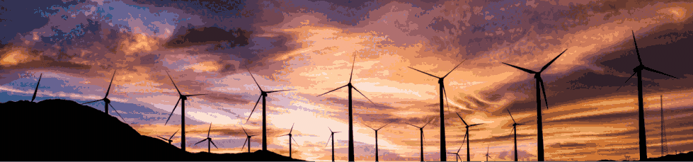 D5渲染器旧版本