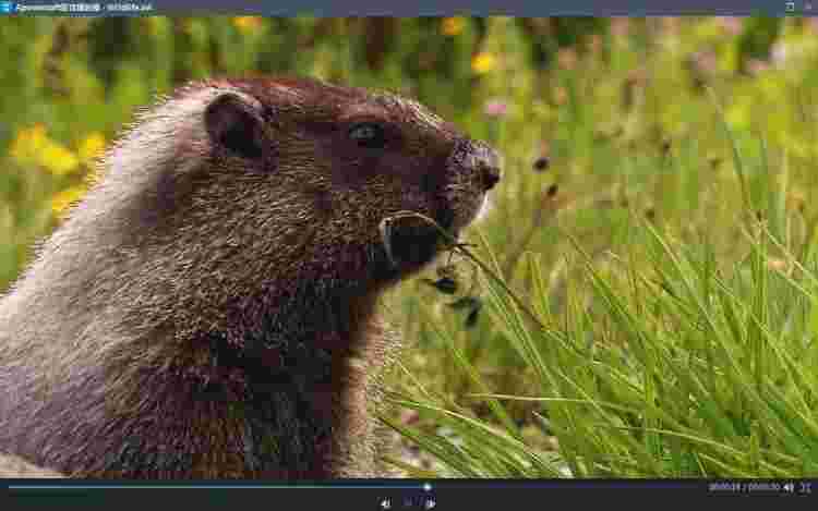 影片转换王1.1.1.2