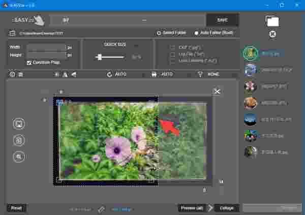 rEASYze官方版v2.9.1
