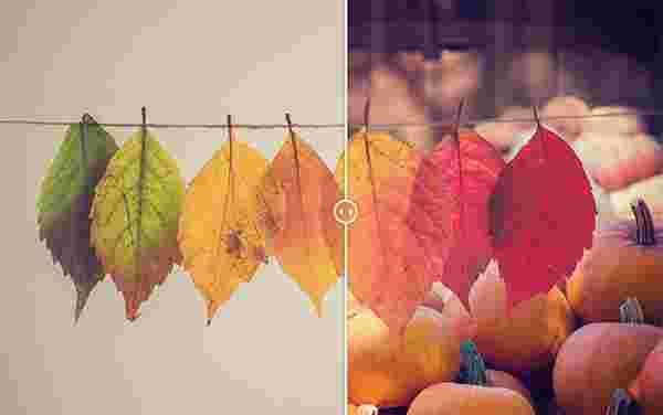 Topaz Mask AI官方版v1.3.9 