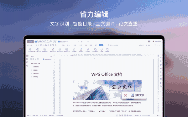 WPS Word3.9.4