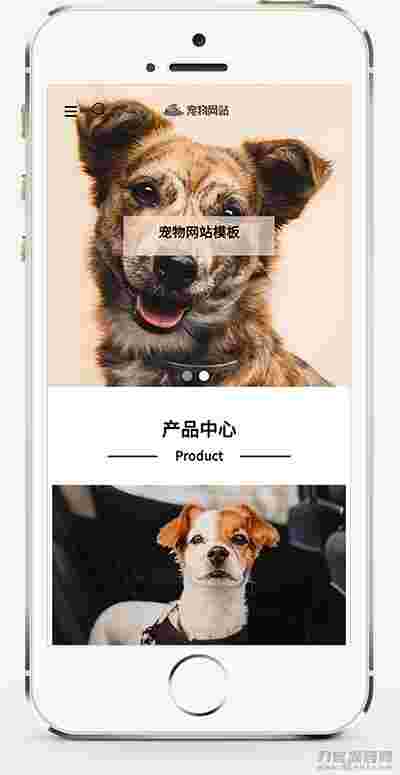 (自适应手机端)宠物商店宠物装备类网站pbootcms模板 宠物网站源码下载 (自适应手机端)宠物商店宠物装备类网站pbootcms模板 宠物网站源码下载