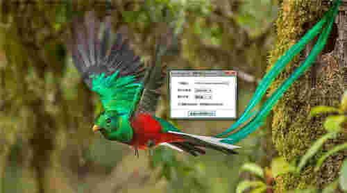 查看bing每日图片v1.0