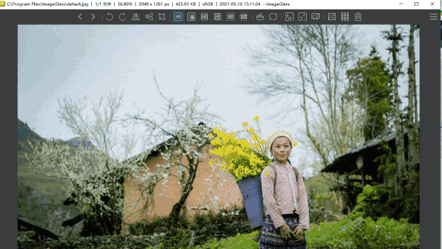 ImageGlassv8.2.2.6