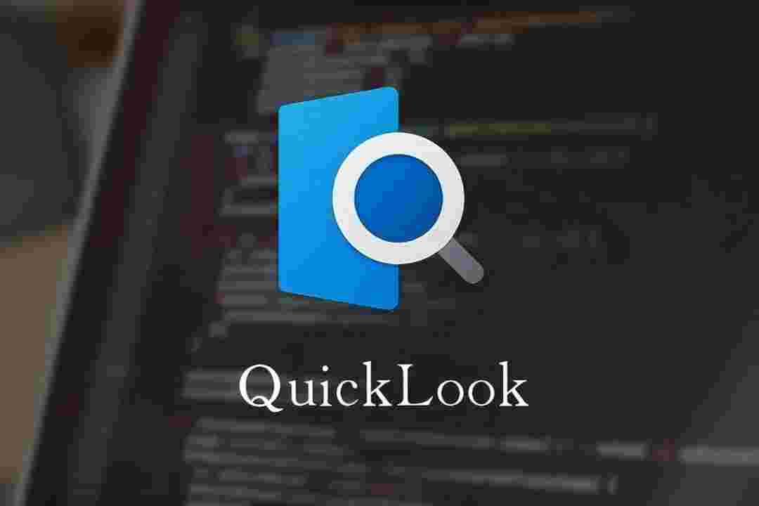 QuickLook免费版