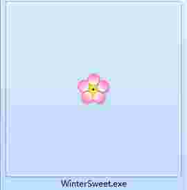 梅花英汉双语词典