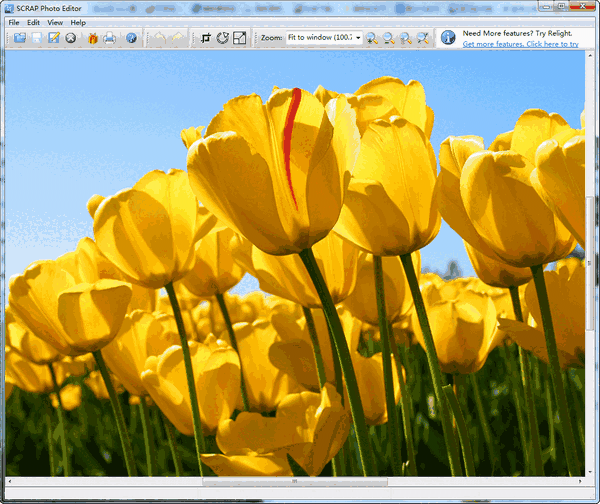 SCRAP Photo Editor官方版v1.2.2