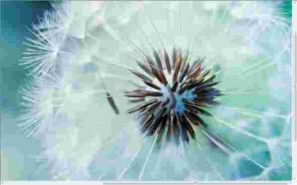 All网站图片批量下载器v3.18.07.05