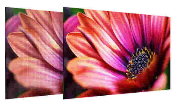 AlphaPic超级看图v6.7.0.62