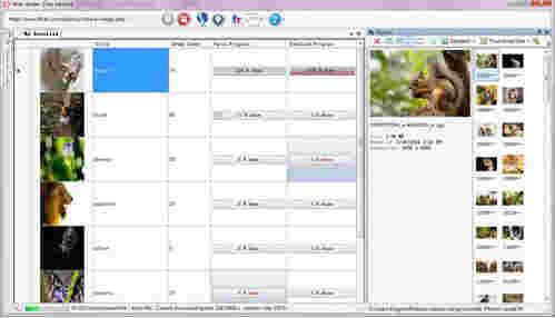 Flickr Spiderv1.0.0.1