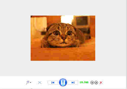 gif图像查看器v1.0
