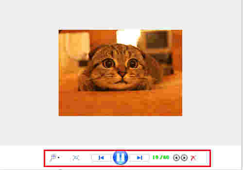 gif图像查看器v1.0