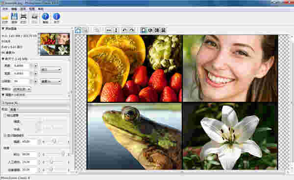 Benvista PhotoZoom Classicv8.0