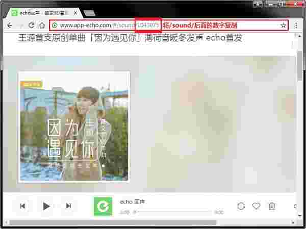Echo回声音乐下载器v1.3